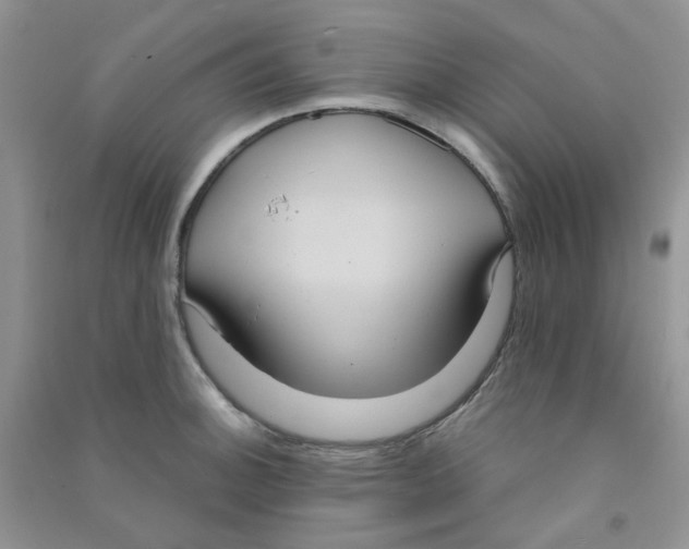 X0000090711140200708171901