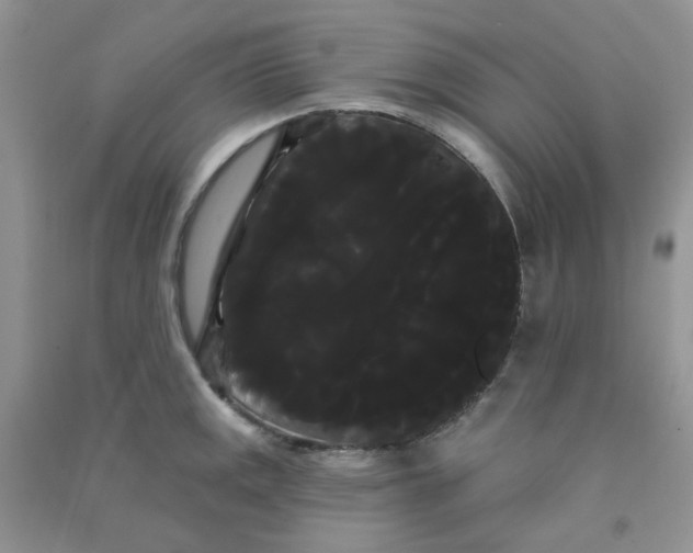 X0000090711141200708171901