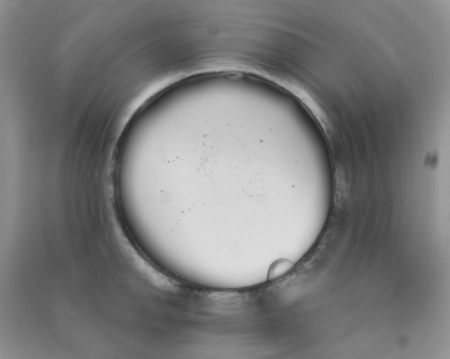 X0000090711142200708171901