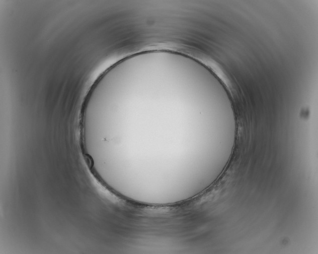 X0000090711143200708171901