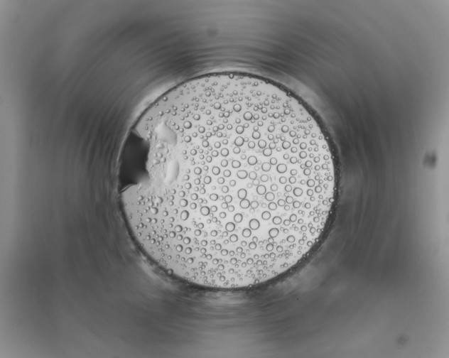 X0000090711145200708171901