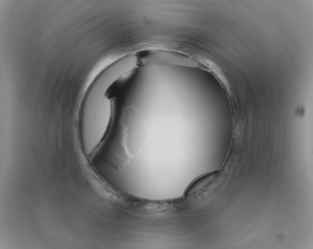 X0000090711146200708171901