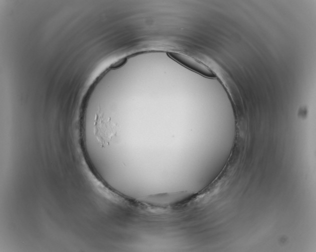 X0000090711147200708171901