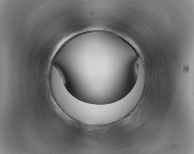 X0000090711148200708171901