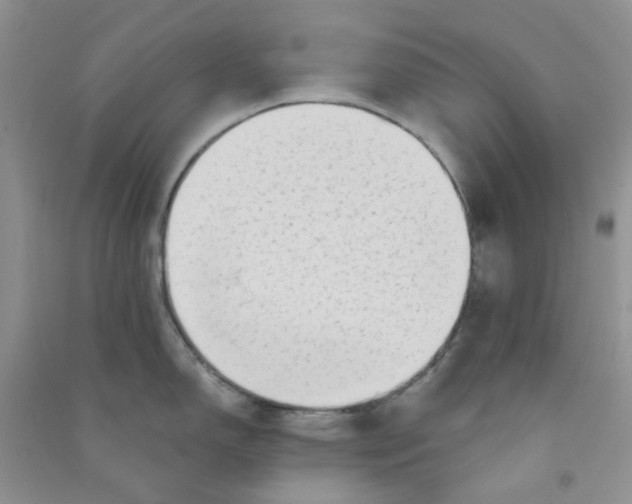 X0000090711150200708171901