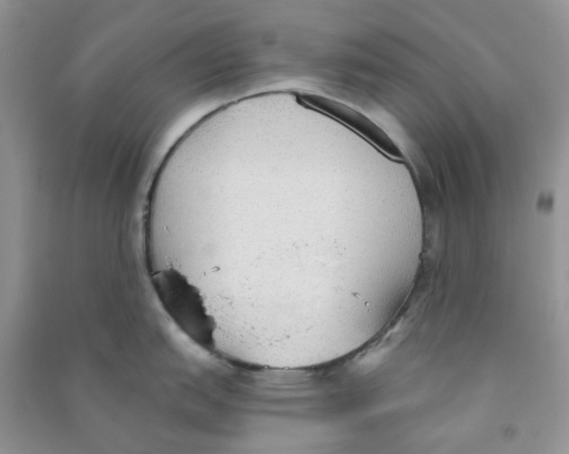 X0000090711151200708171901