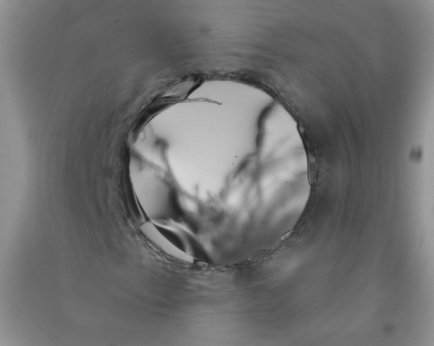 X0000090711153200708171901