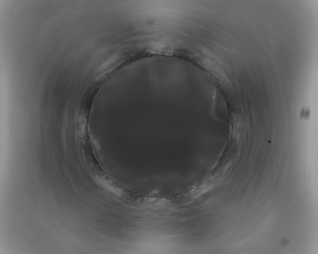 X0000090711154200708171901