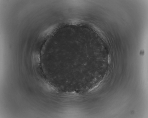 X0000090711155200708171901