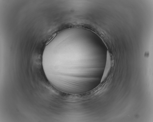 X0000090711156200708171901