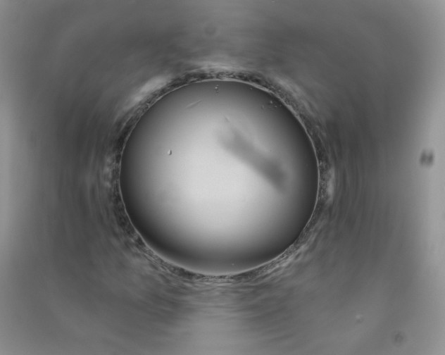 X0000090711157200708171901