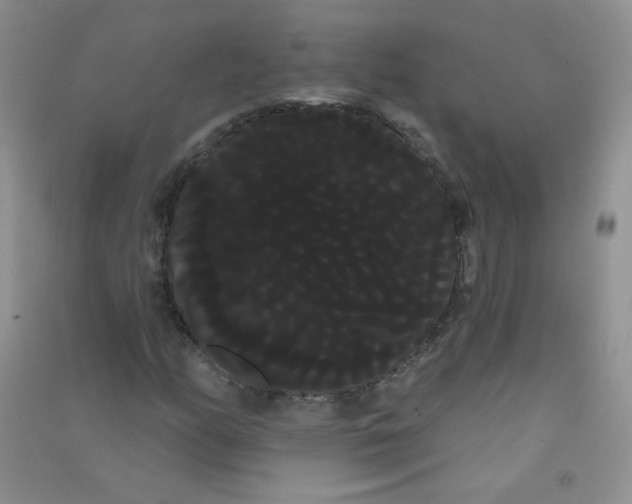 X0000090711158200708171901