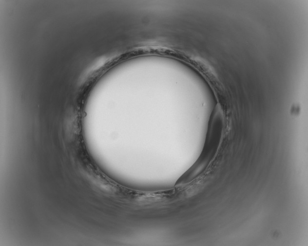 X0000090711159200708171901