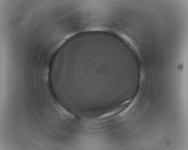 X0000090711161200708171901