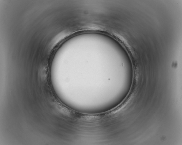 X0000090711163200708171901