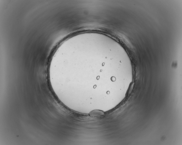 X0000090711164200708171901