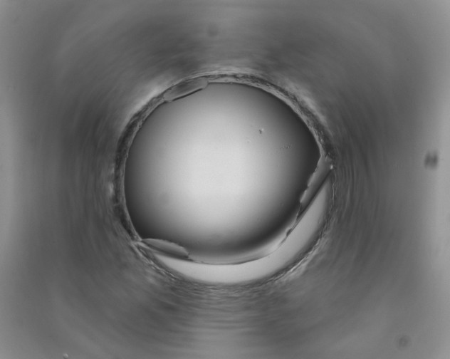 X0000090711165200708171900