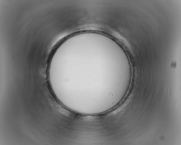 X0000090711166200708171900