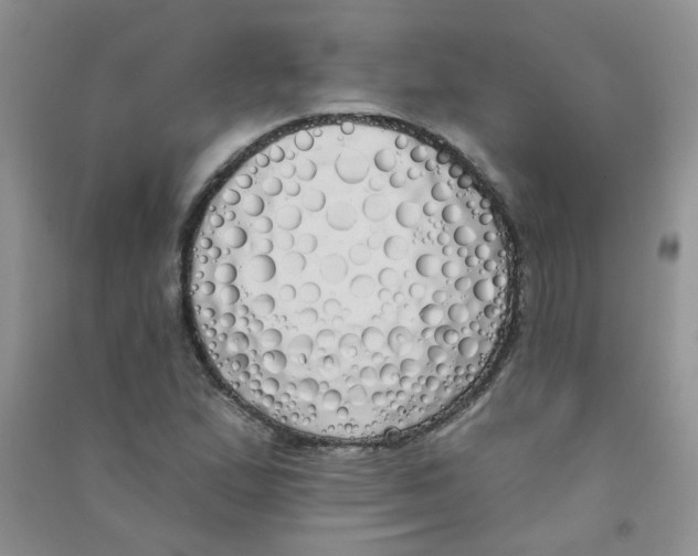 X0000090711167200708171900