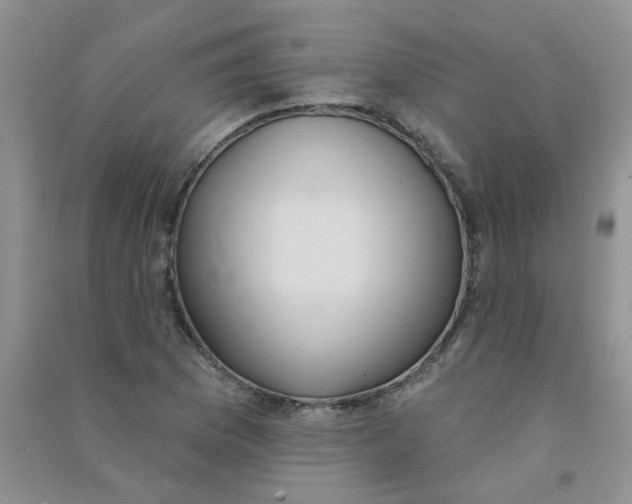 X0000090711169200708171900