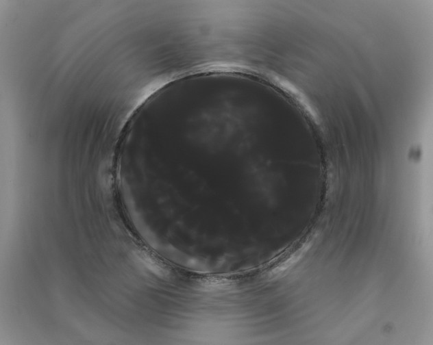 X0000090711170200708171900