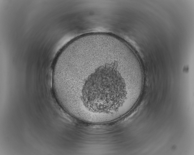 X0000090711171200708171900