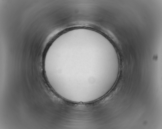 X0000090711172200708171900