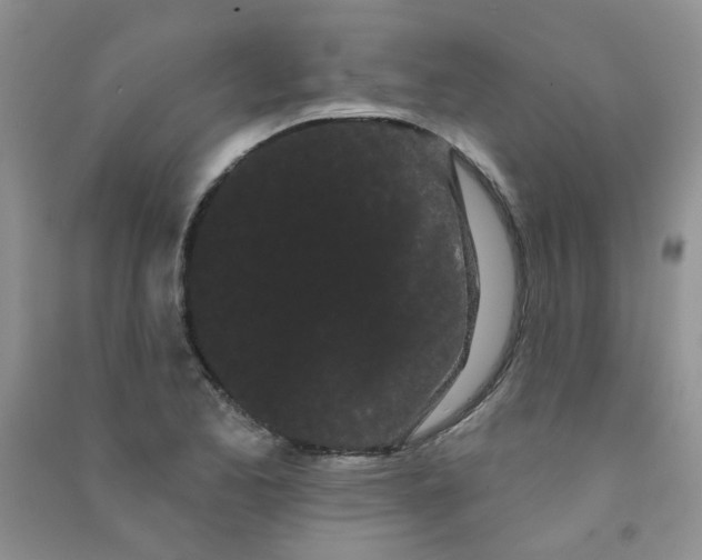 X0000090711173200708171900