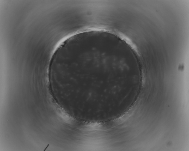 X0000090711174200708171900