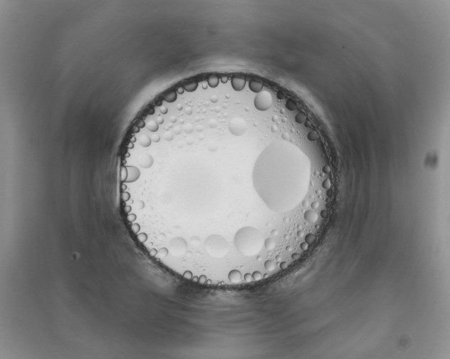 X0000090711175200708171900