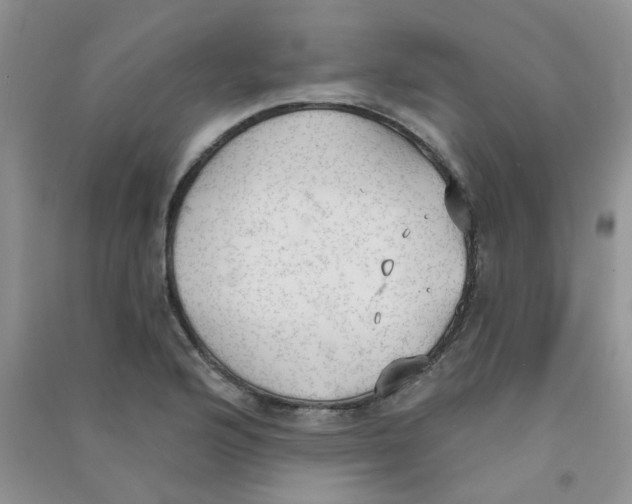 X0000090711176200708171900