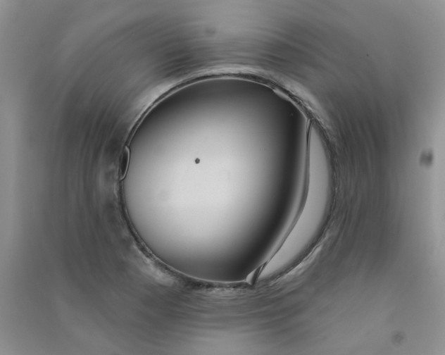 X0000090711177200708171900