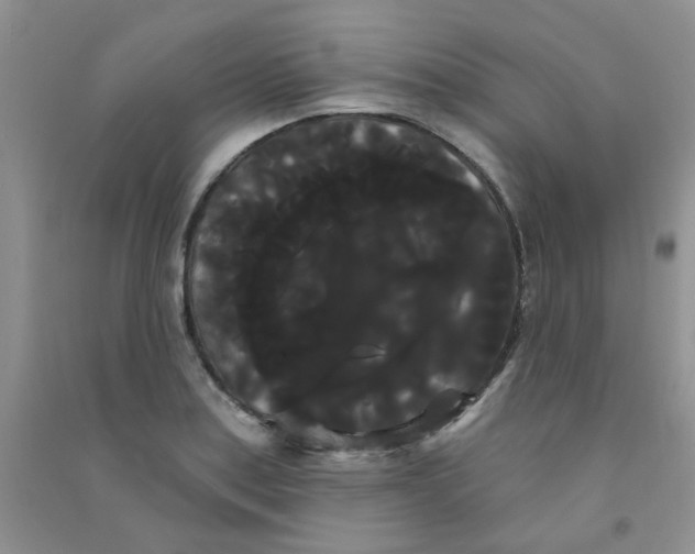 X0000090711179200708171900