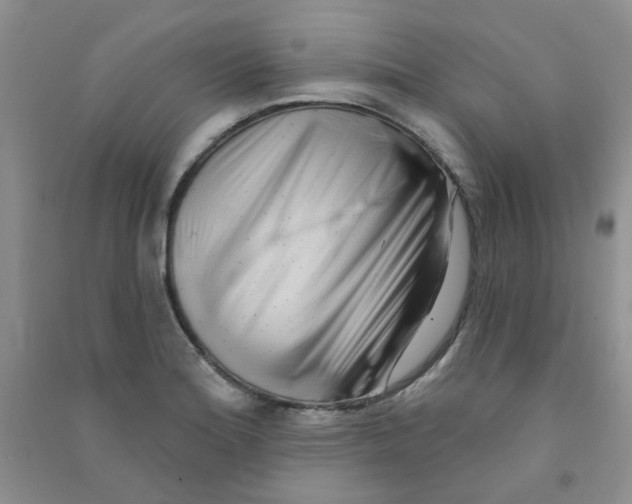 X0000090711180200708171900