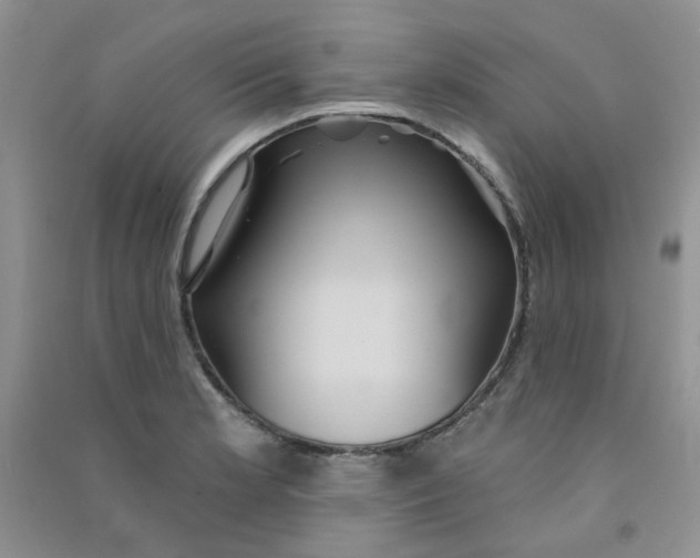 X0000090711181200708171900