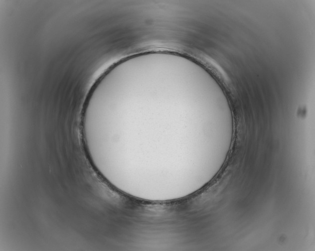 X0000090711182200708171900