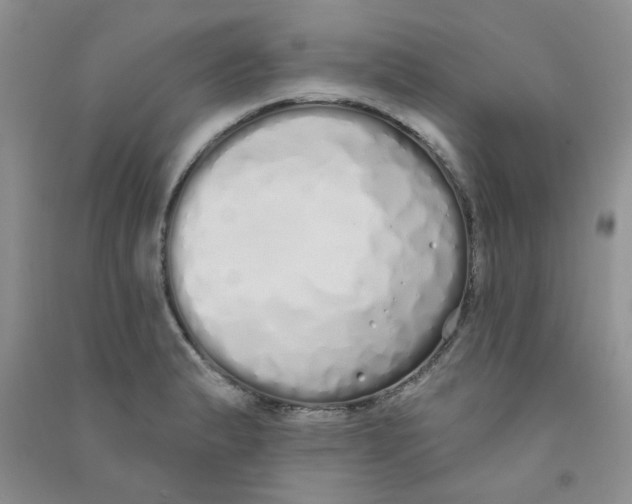 X0000090711183200708171900