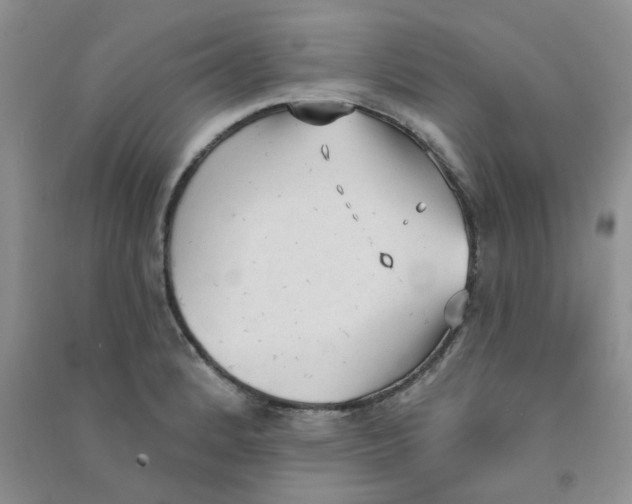 X0000090711184200708171900