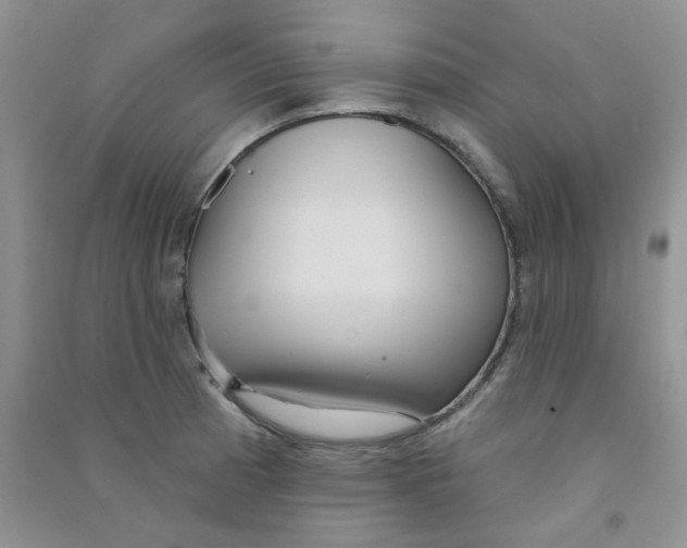 X0000090711185200708171900