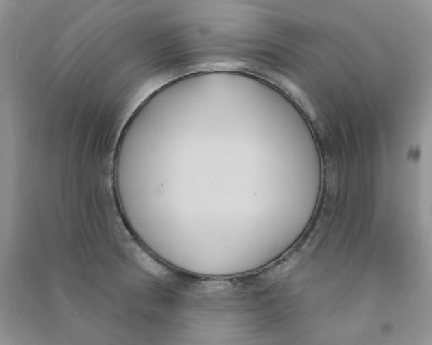 X0000090711186200708171900