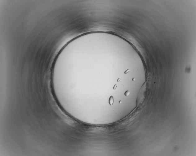 X0000090711187200708171900