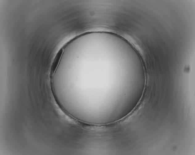 X0000090711189200708171900