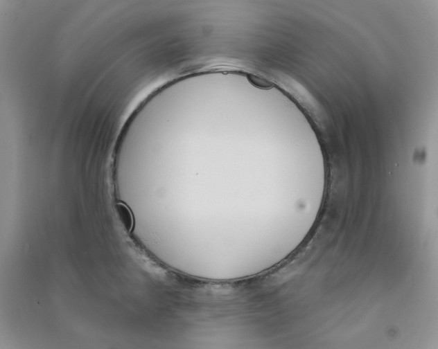 X0000090711190200708171900