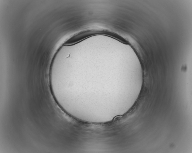 X0000090711191200708171900