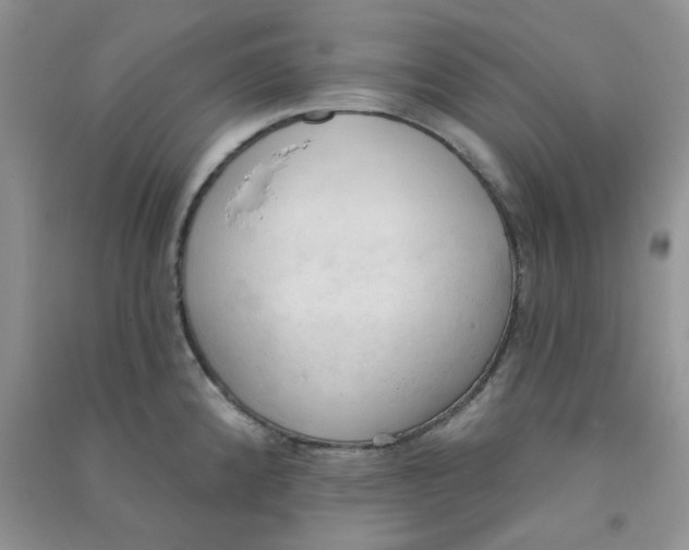 X0000090711192200708171900