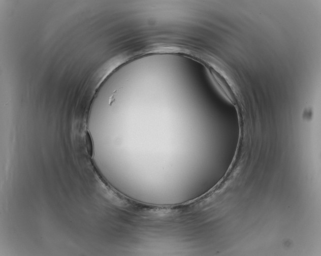 X0000090711193200708171900