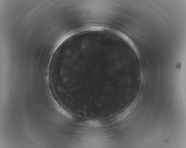 X0000090711194200708171900