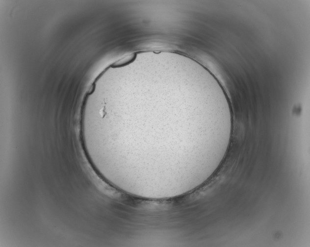 X0000090711195200708171900