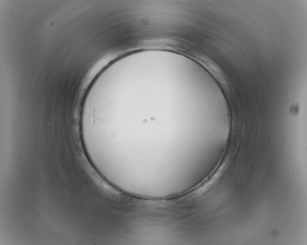 X0000090711196200708171900