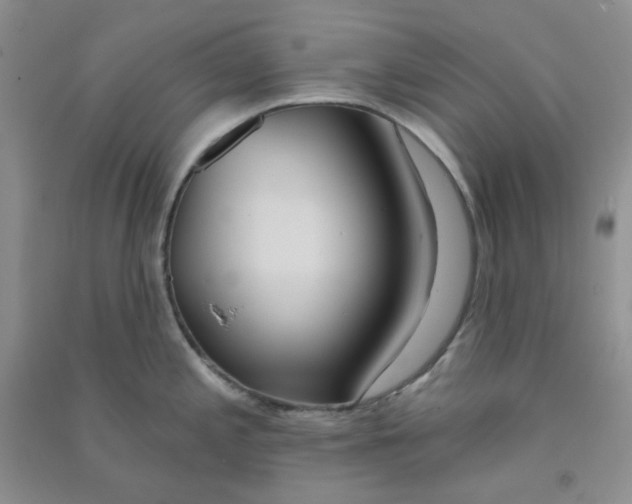 X0000090711197200708171900